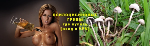 гидропоника Алзамай