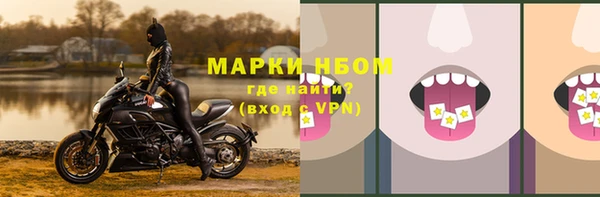 гашик Алексеевка