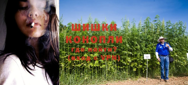 гидропоника Алзамай