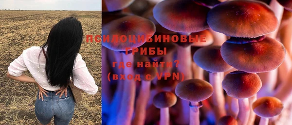 гидропоника Алзамай
