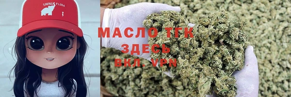 гашик Алексеевка