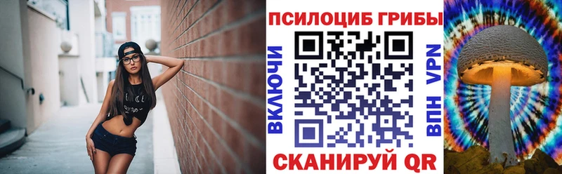 закладки  Жирновск  hydra   Псилоцибиновые грибы ЛСД 